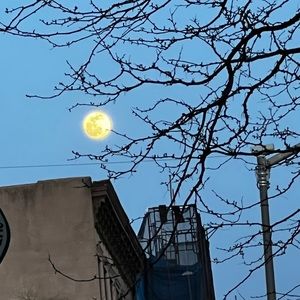 Meet your Posher, Mercedes